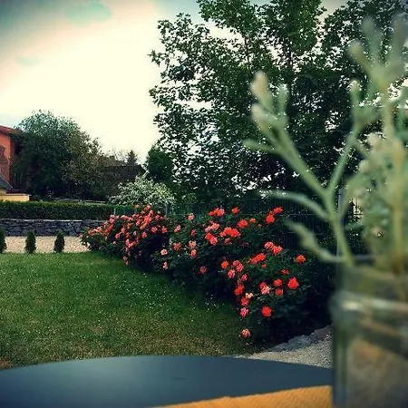 Ferienwohnung-sonneberg-orchidee